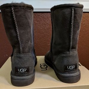 Brand New Classic Short Ugg Boots
